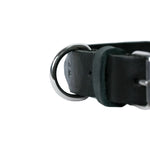 Black leather dog collar stainless steel