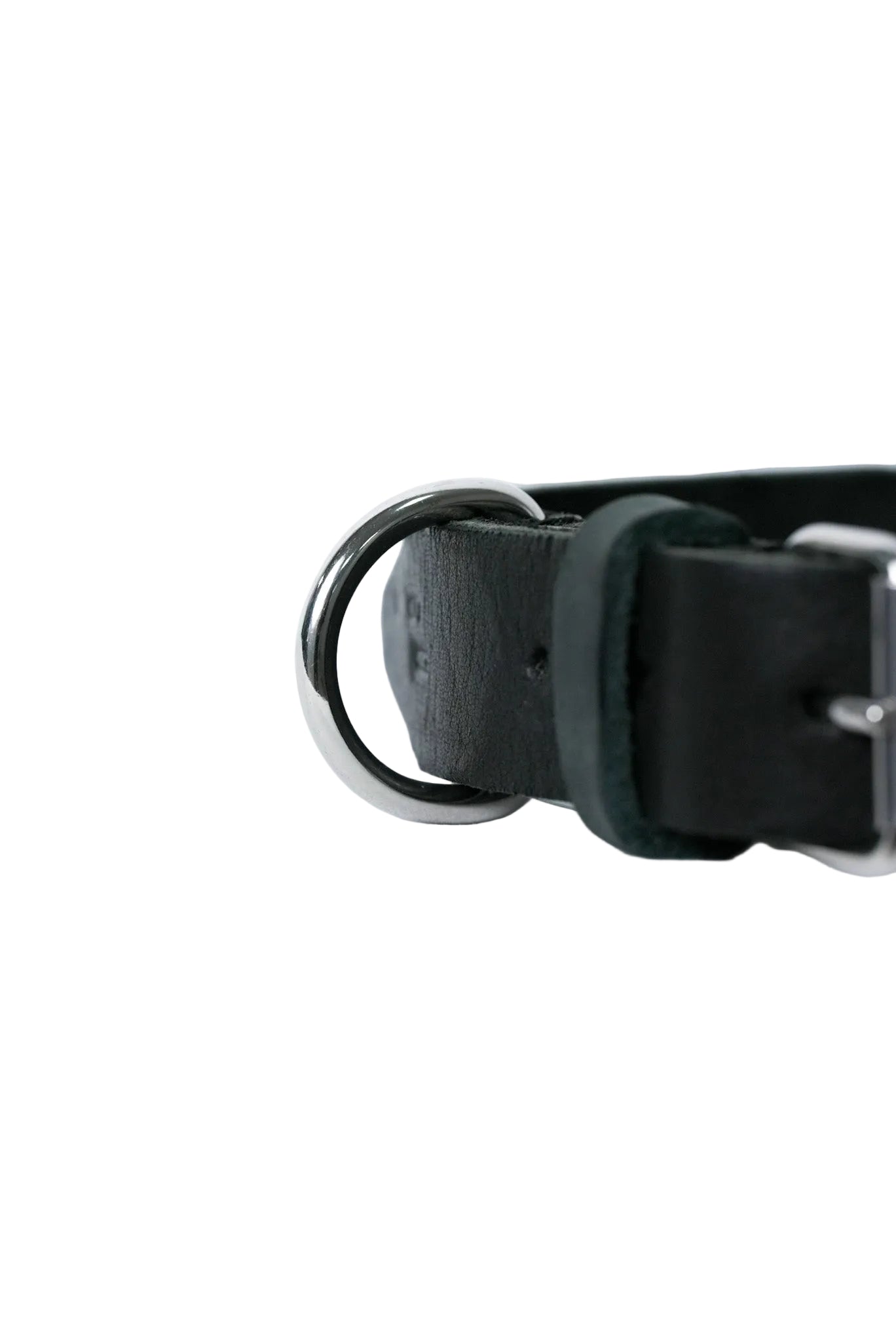 Black leather dog collar stainless steel