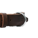 Brown leather dog collar stainless steel hoop