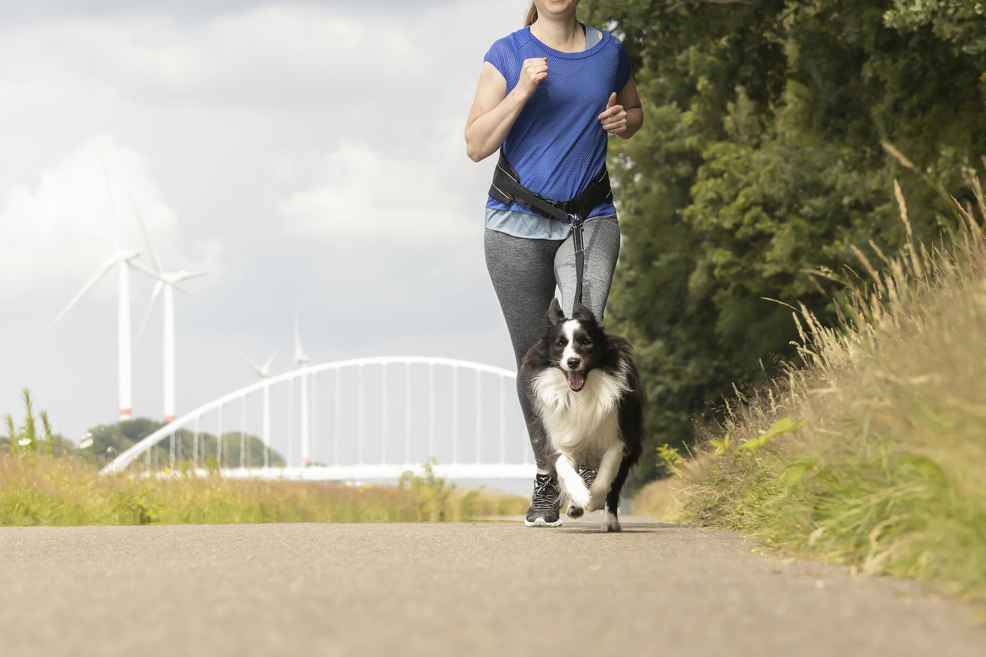 Karlie Flamingo Canicross Jogging Lead with Waist Belt Black in use