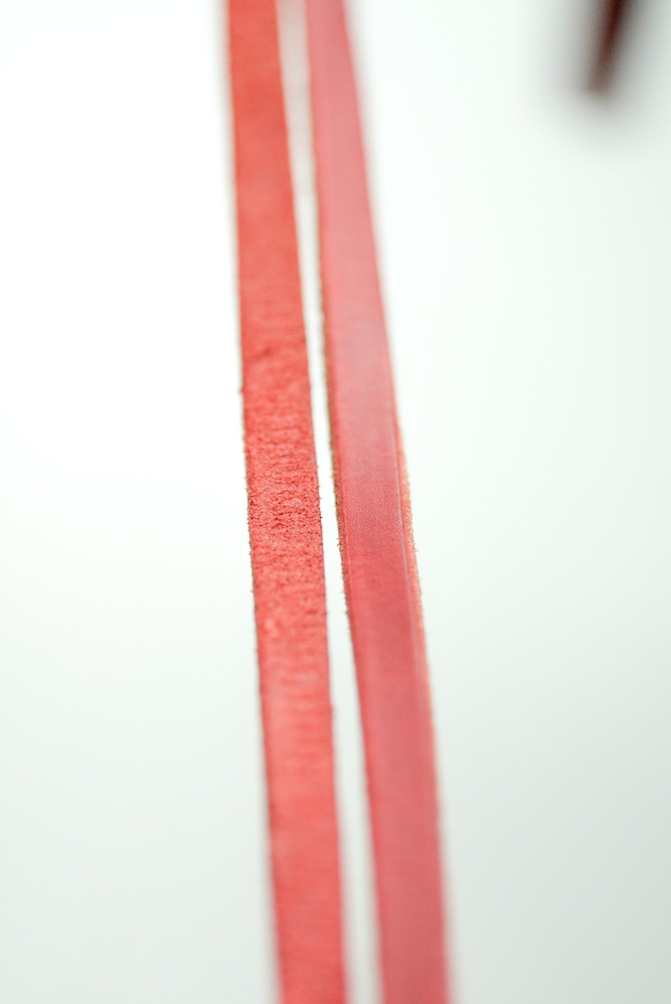 Red Leather Leash 10mm