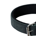 Schweikert Leather Dog Collar with Felt Padding 50 mm Black side buckle