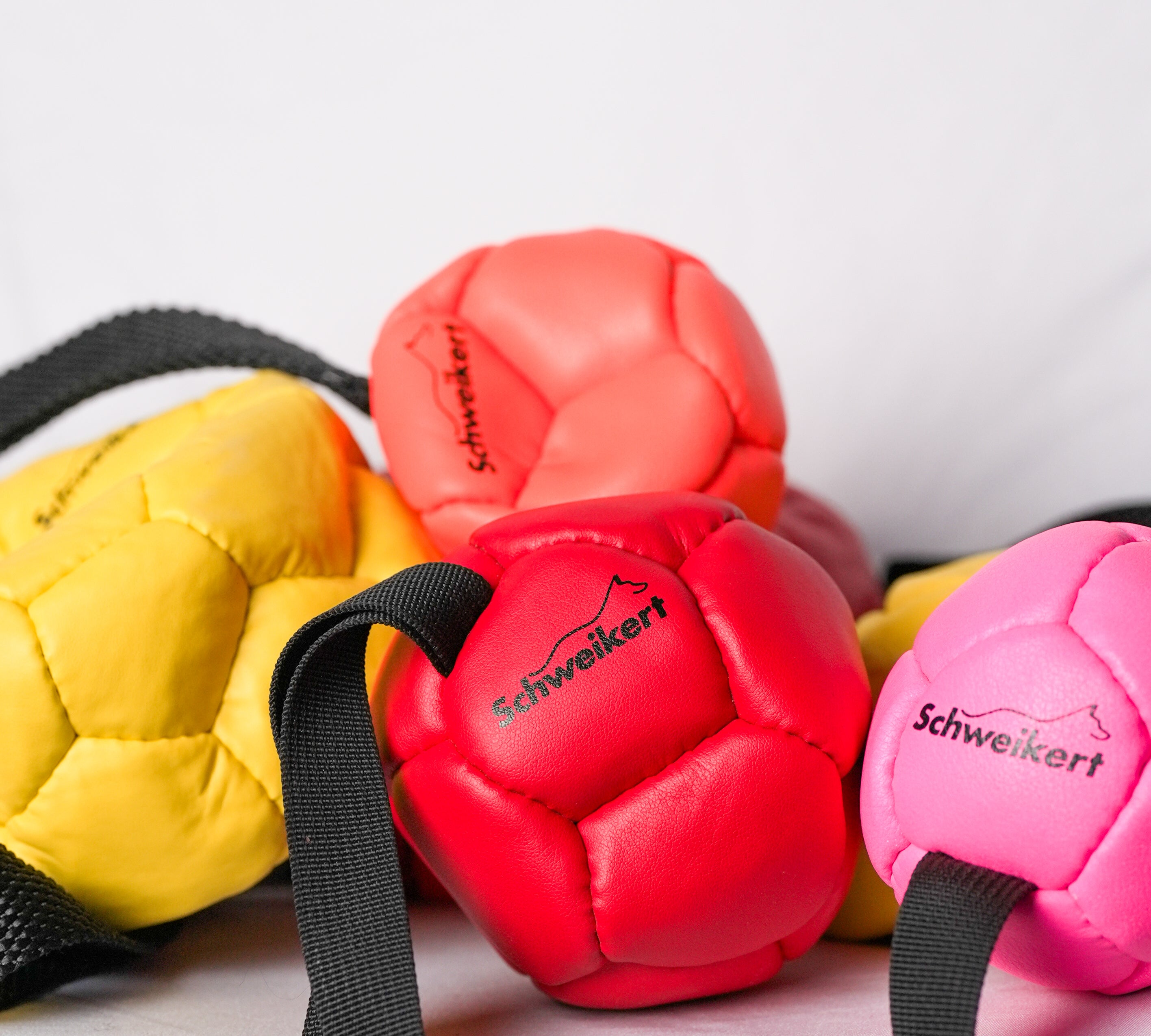 Schweikert Leather Football with Handle - Air-Filled - Group