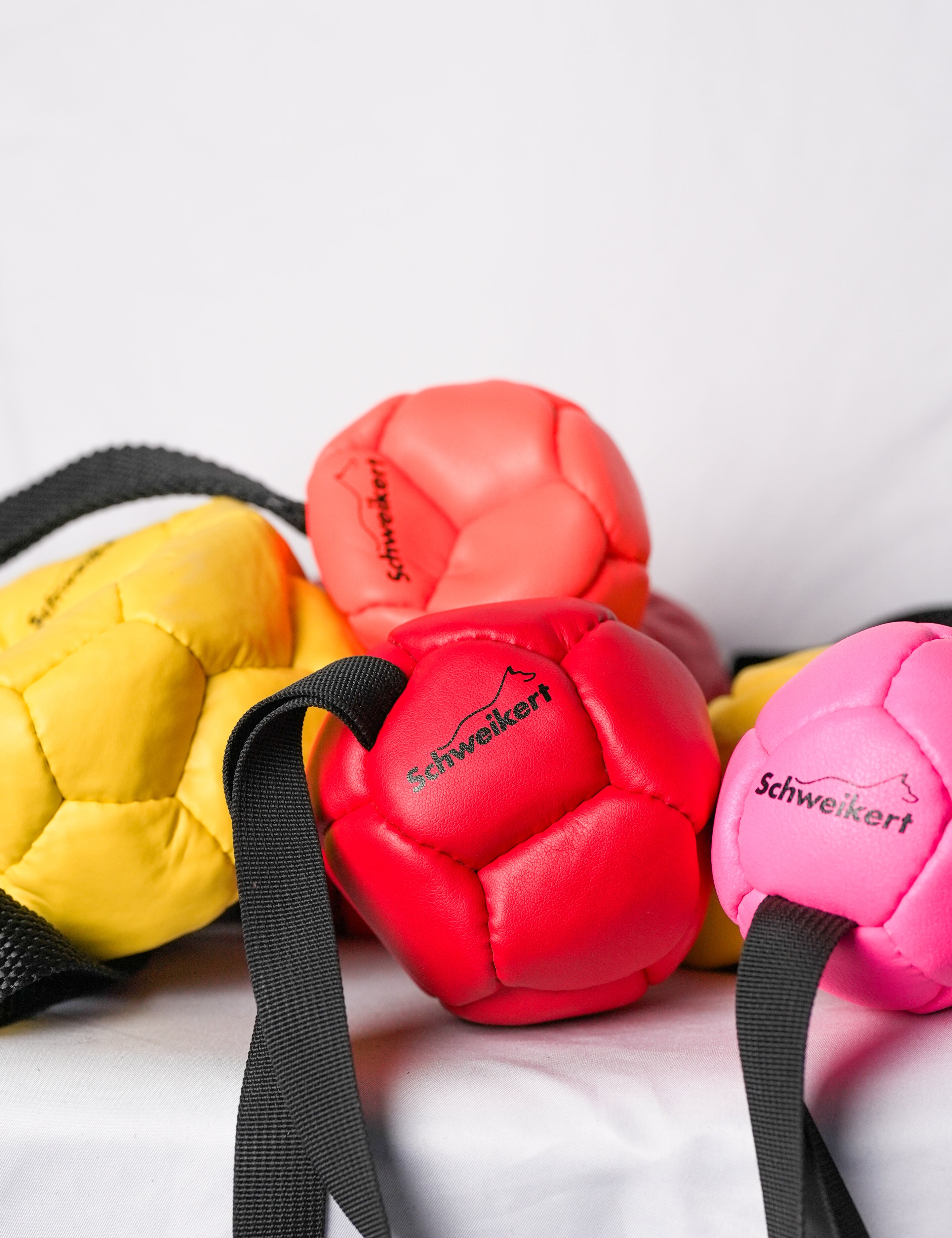 Schweikert Leather Football with Handle - Air-Filled - Group