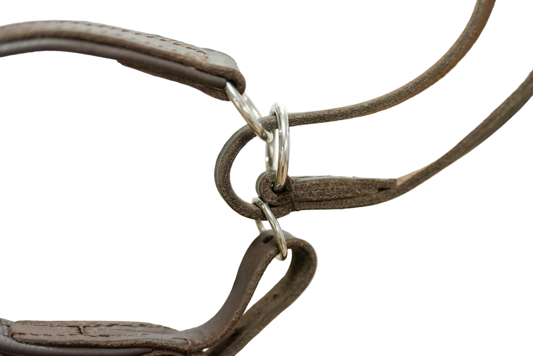 Schweikert Brown Leather Show Lead with Handle stainless steel rings