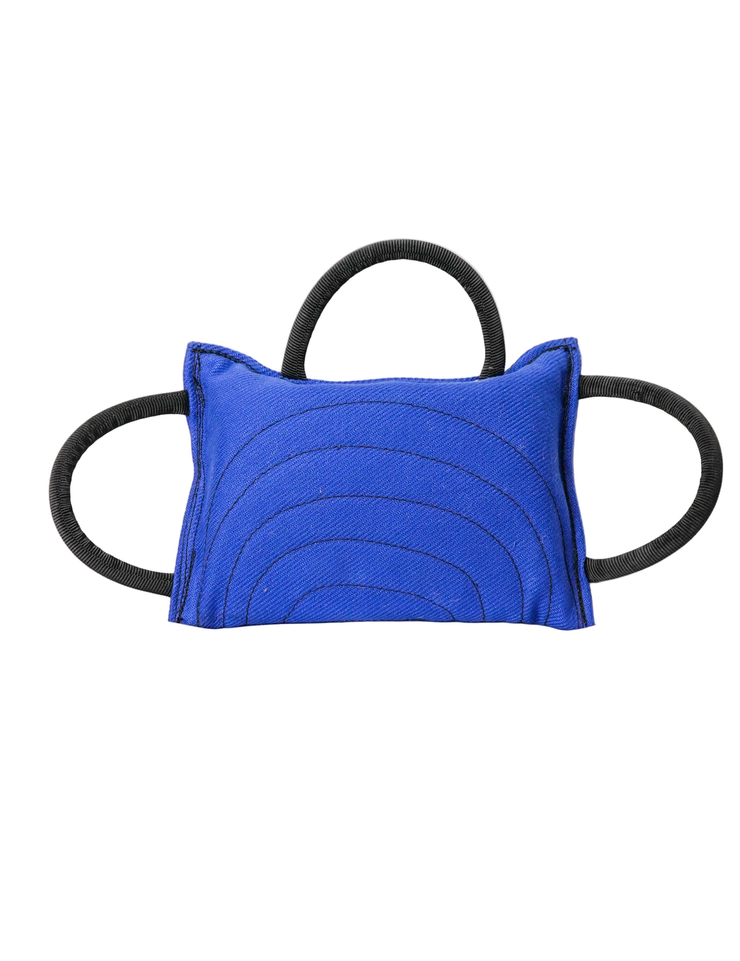 Schweikert Nylcot Bite Pad with 3 Handles Blue main