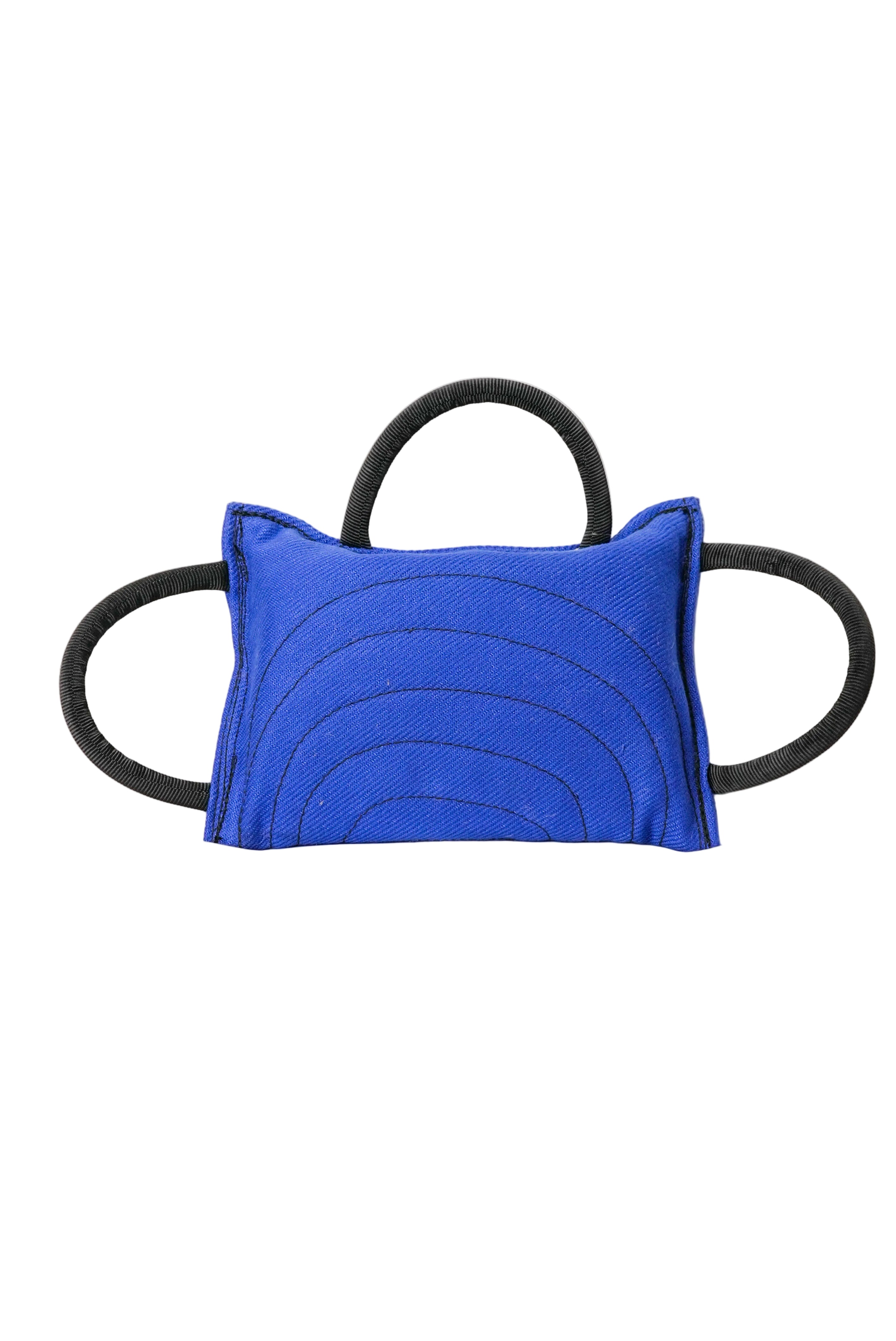 Schweikert Nylcot Bite Pad with 3 Handles Blue main