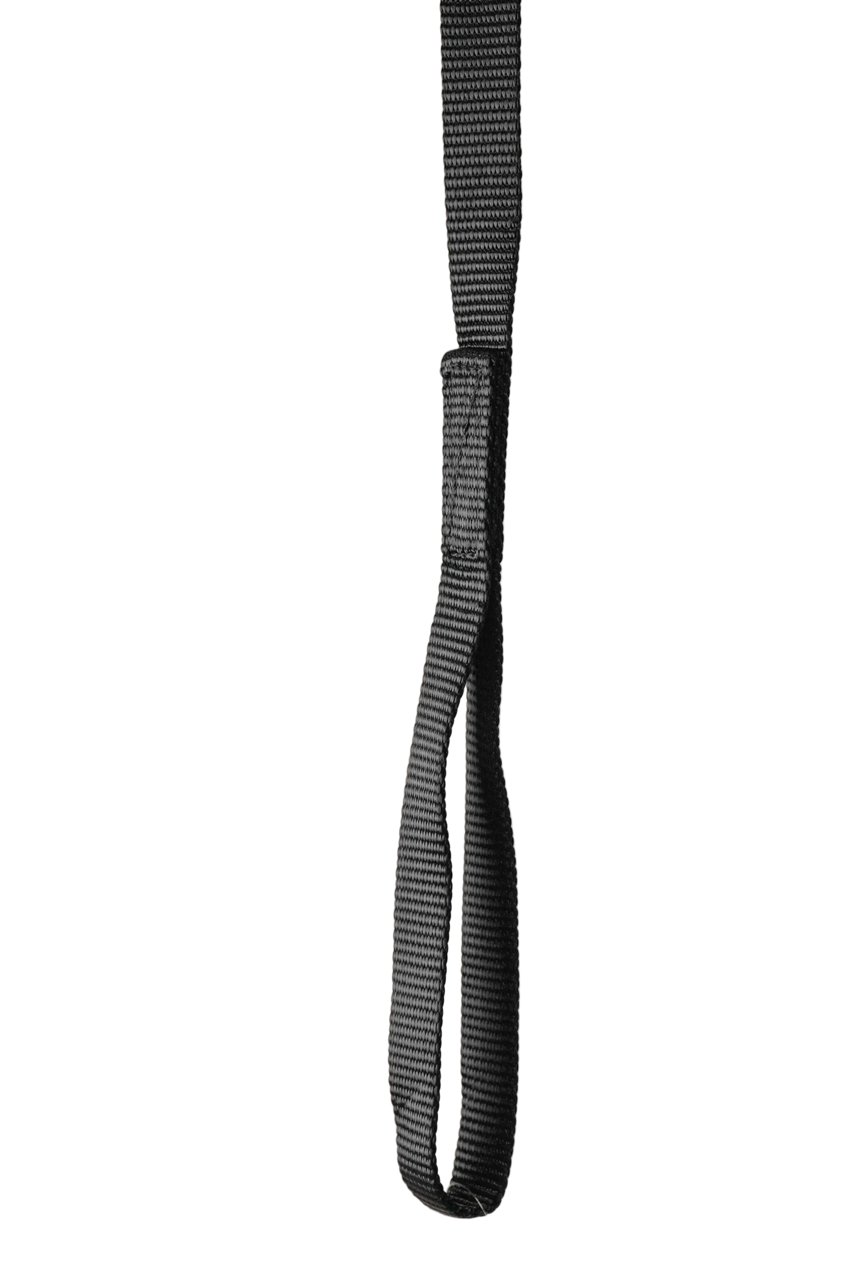 Schweikert Nylon Webbing Lead with Handle 19mm Black main