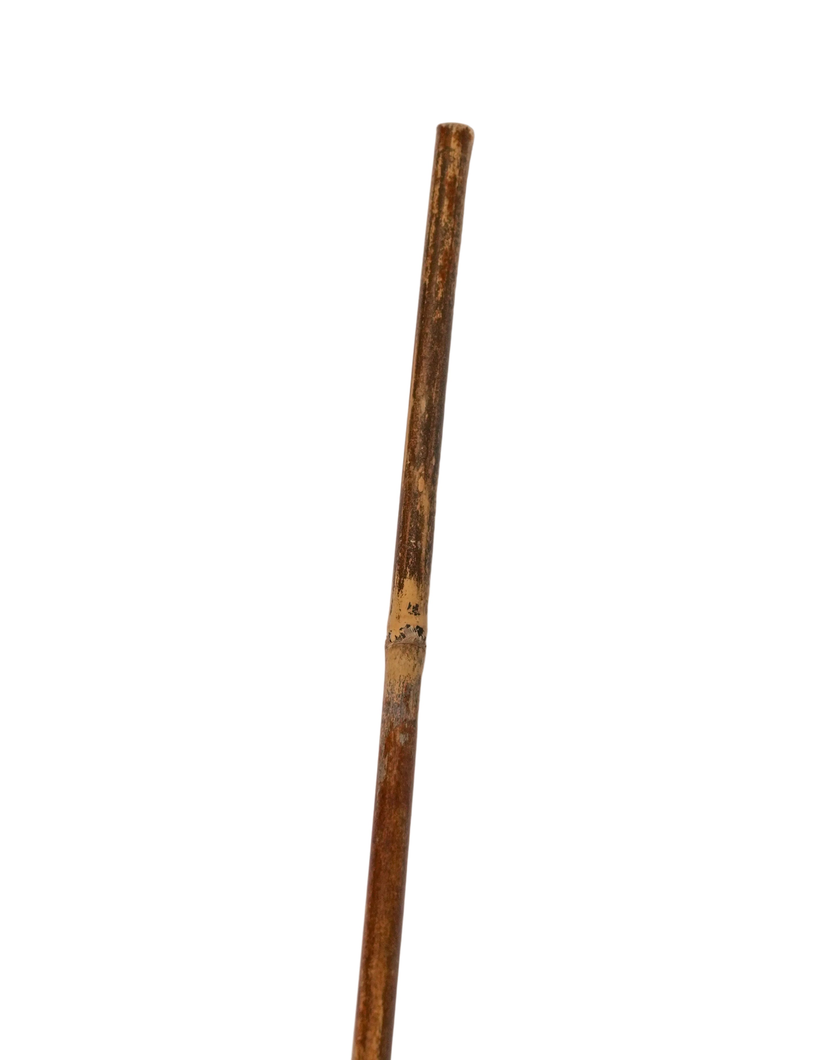 Schweikert Reed Stick 80cm end