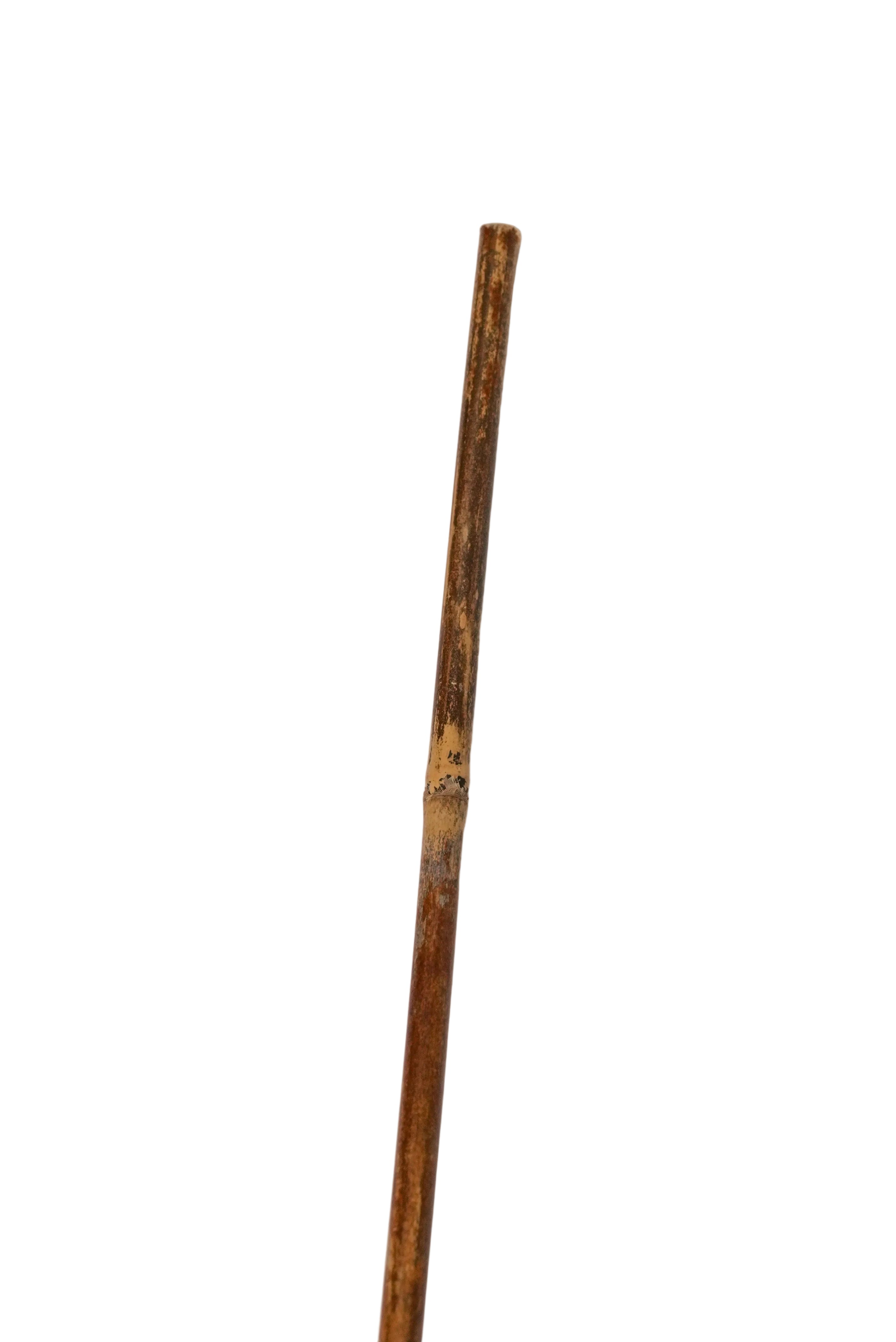 Schweikert Reed Stick 80cm end