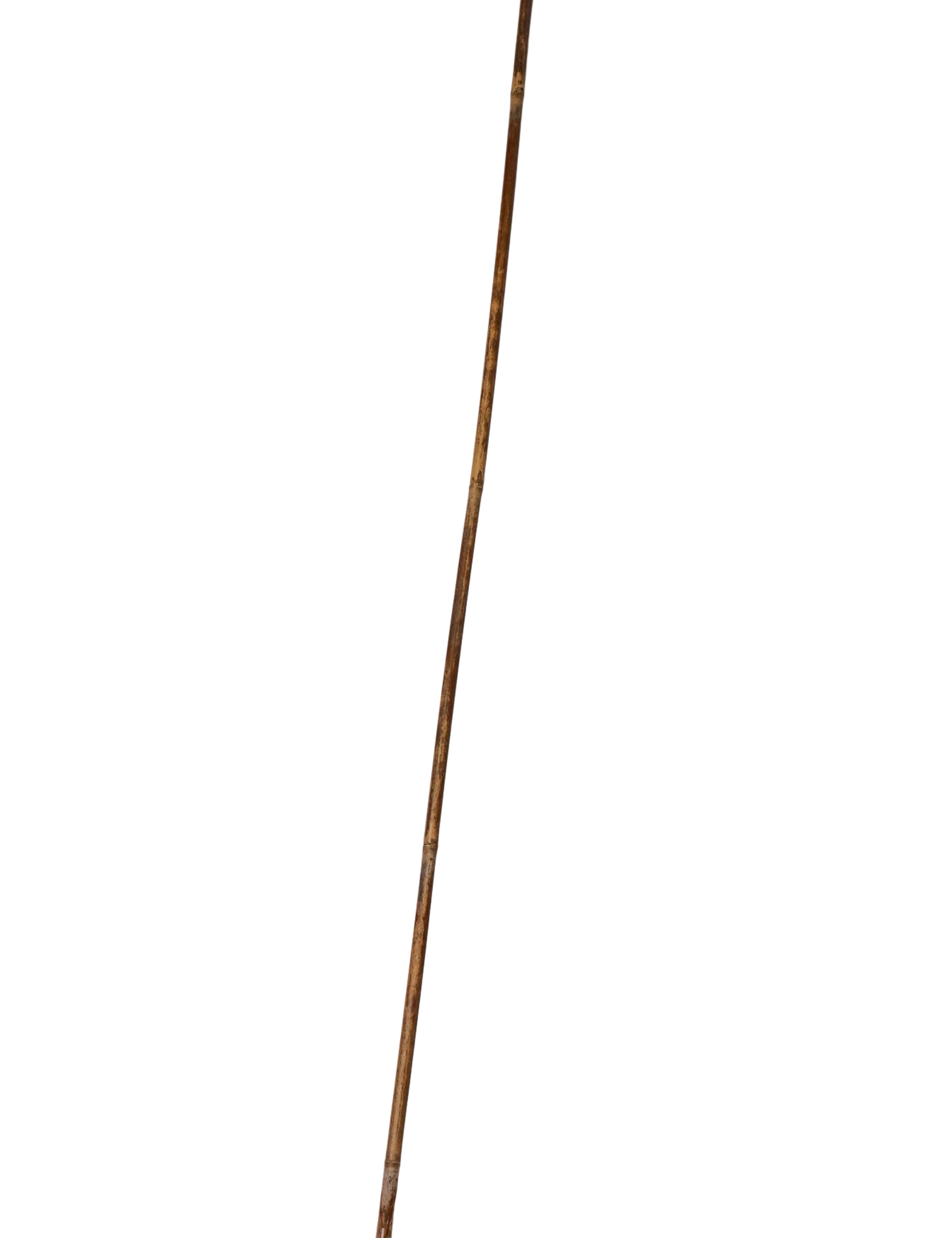Schweikert Reed Stick 80cm main