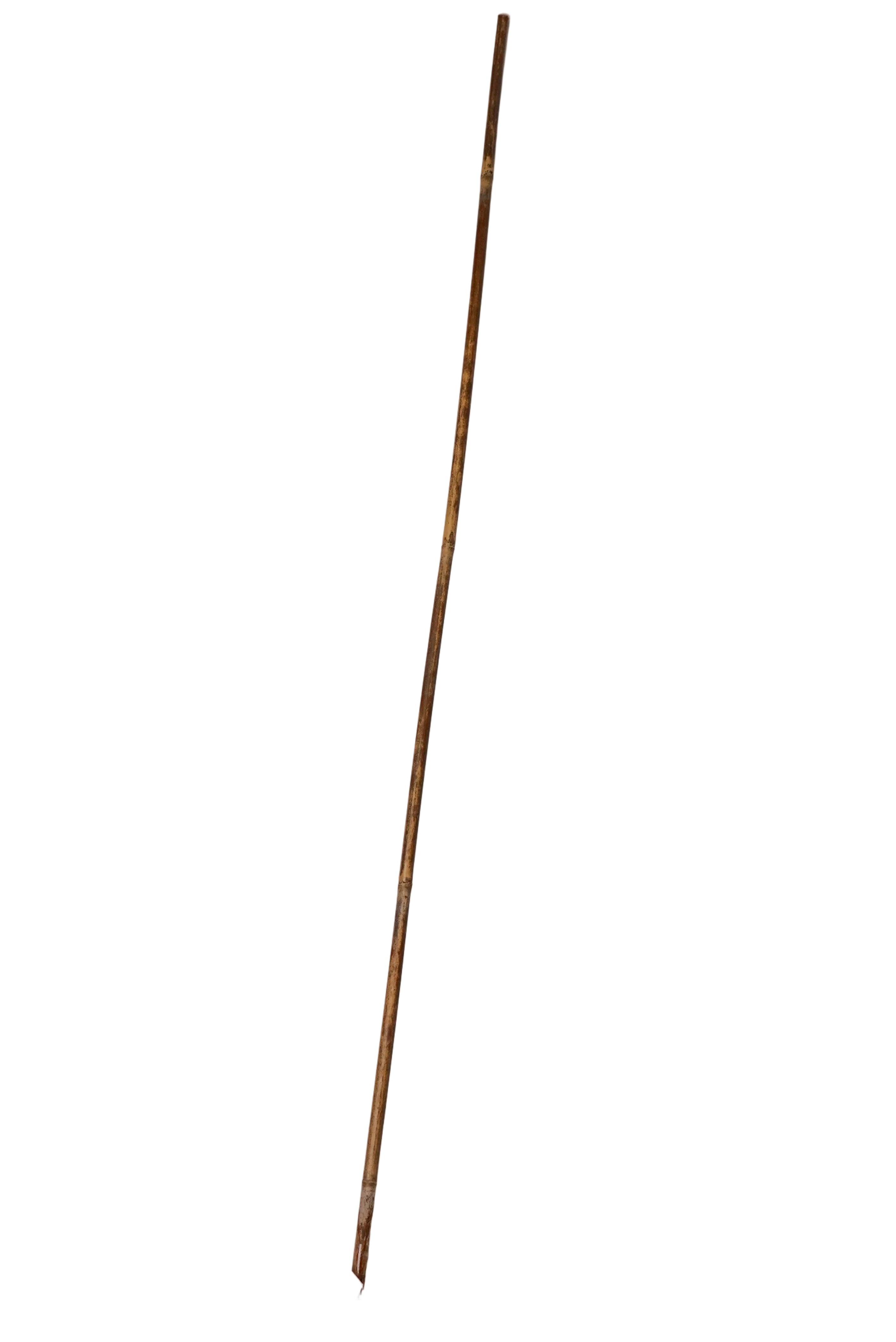 Schweikert Reed Stick 80cm main