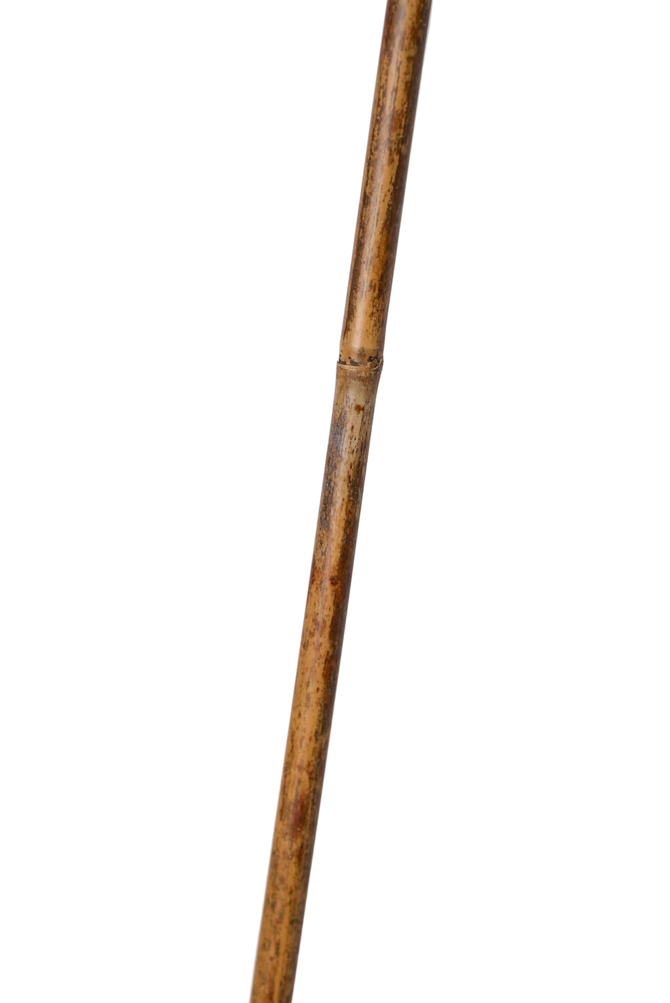 Schweikert Reed Stick 80cm strong material