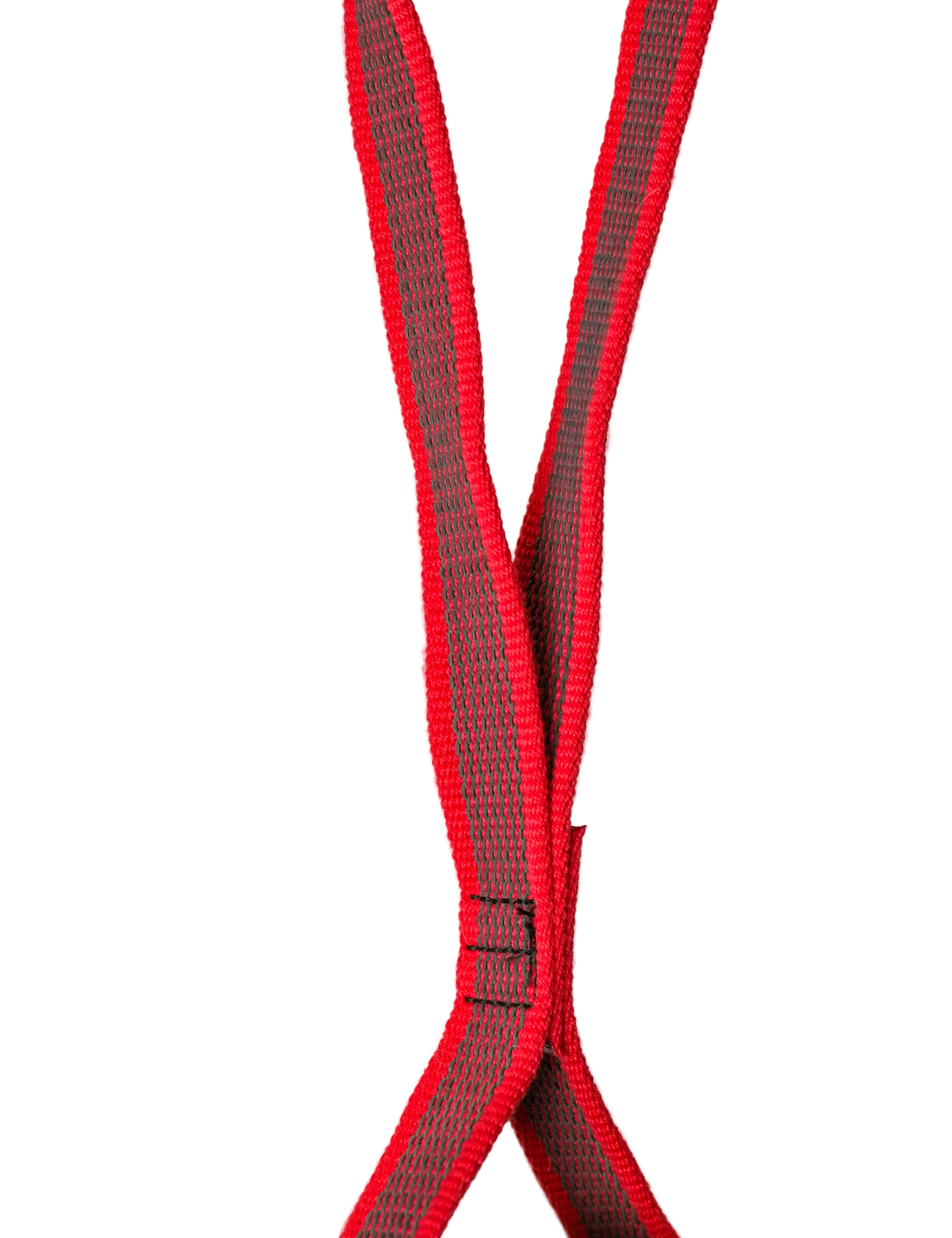 Schweikert Treat Dispensing Chew Ball with Handle strong nylon handle