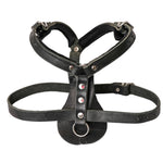 Schweikert Working Dog Leather Harness angle