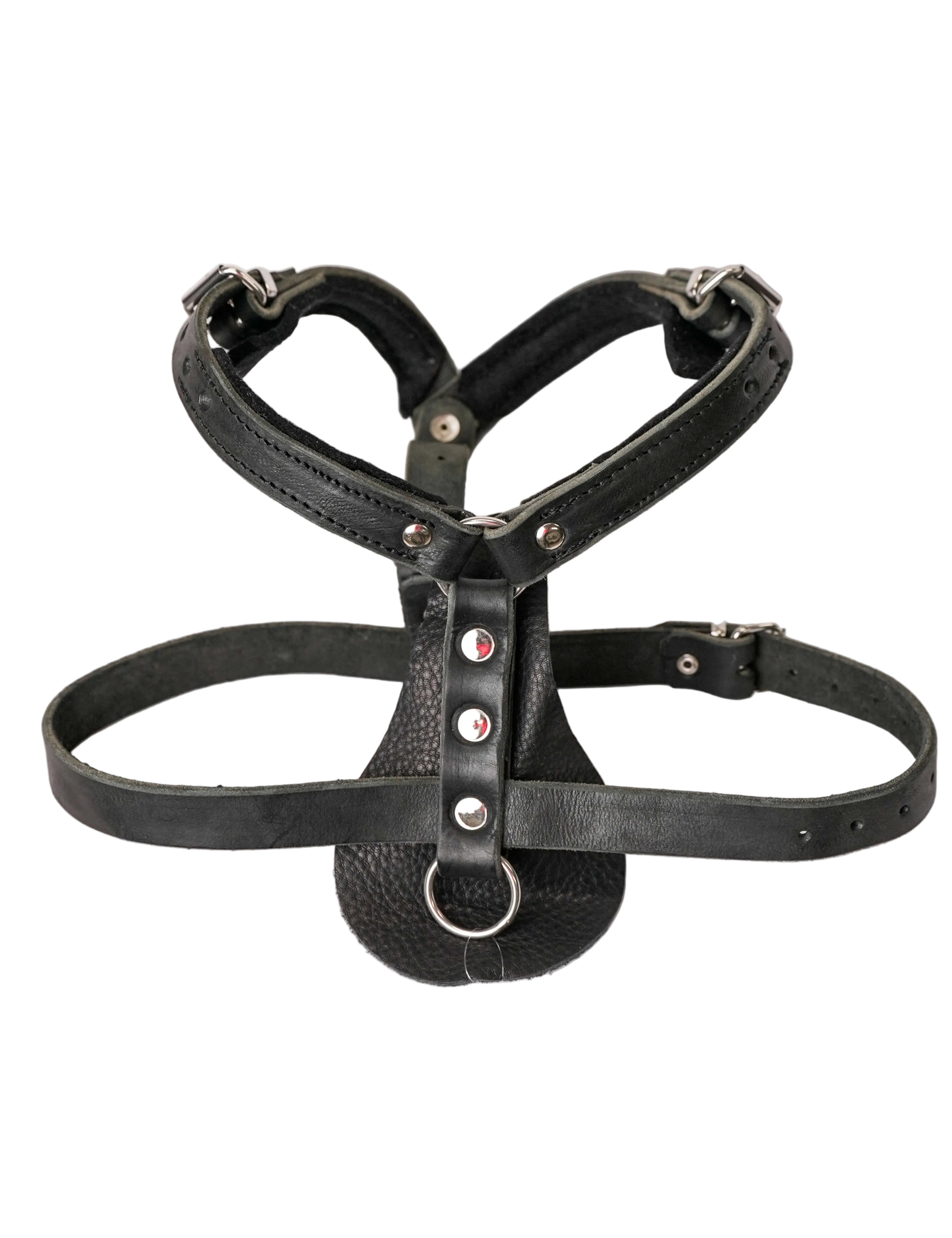 Schweikert Working Dog Leather Harness angle