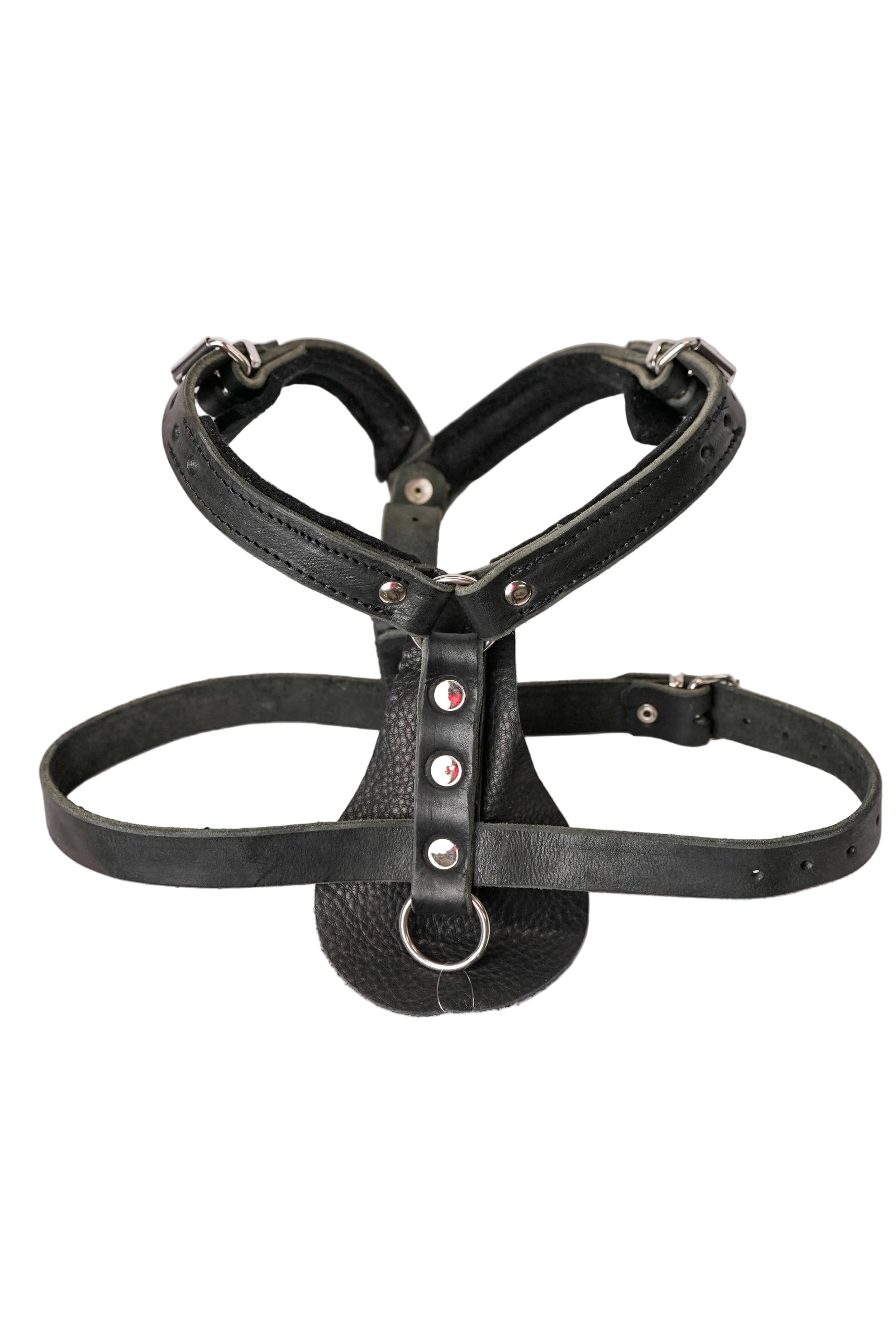 Schweikert Working Dog Leather Harness angle