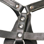 Schweikert Working Dog Leather Harness chest padding