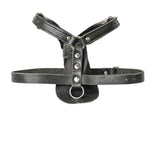 Schweikert Working Dog Leather Harness front