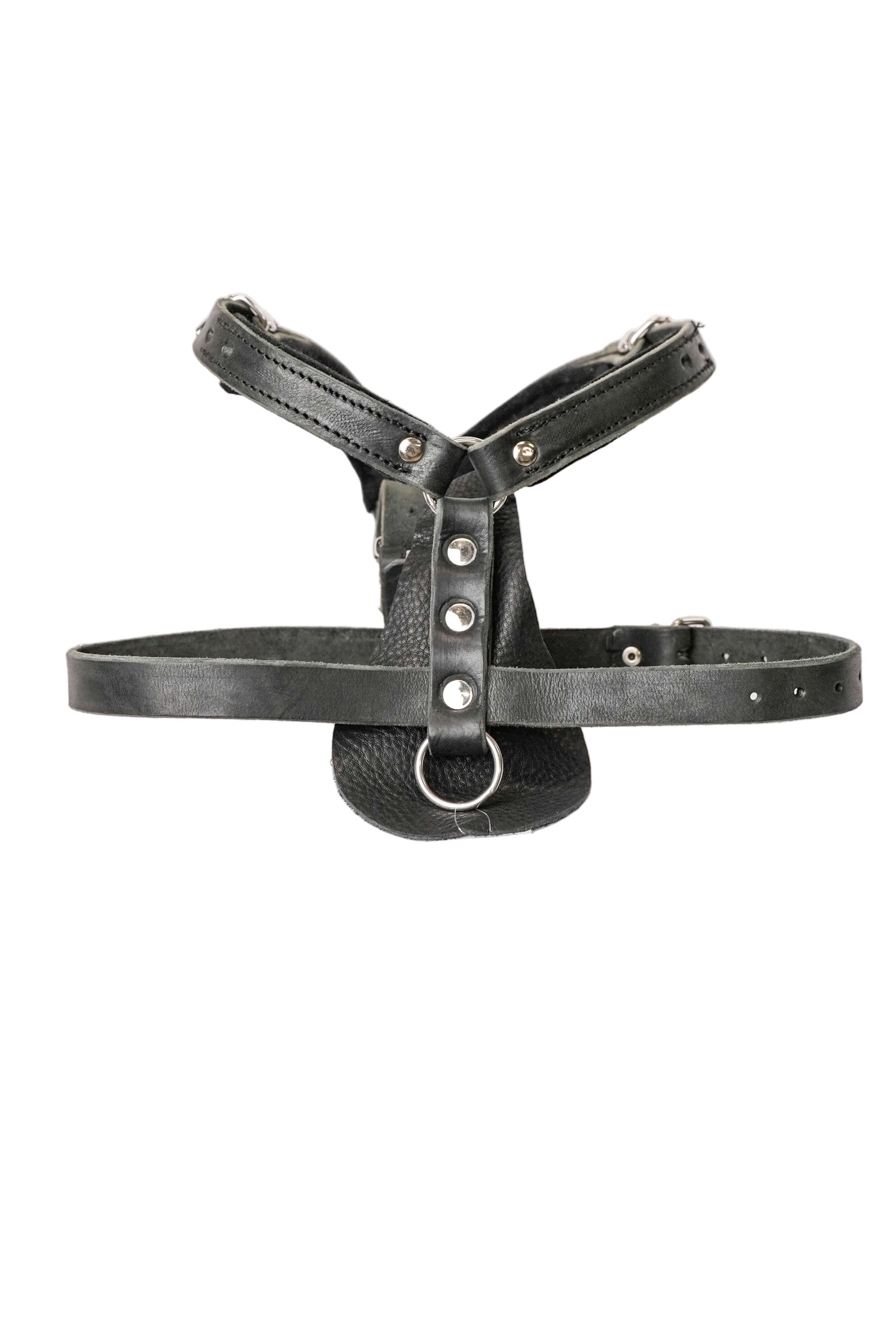Schweikert Working Dog Leather Harness front