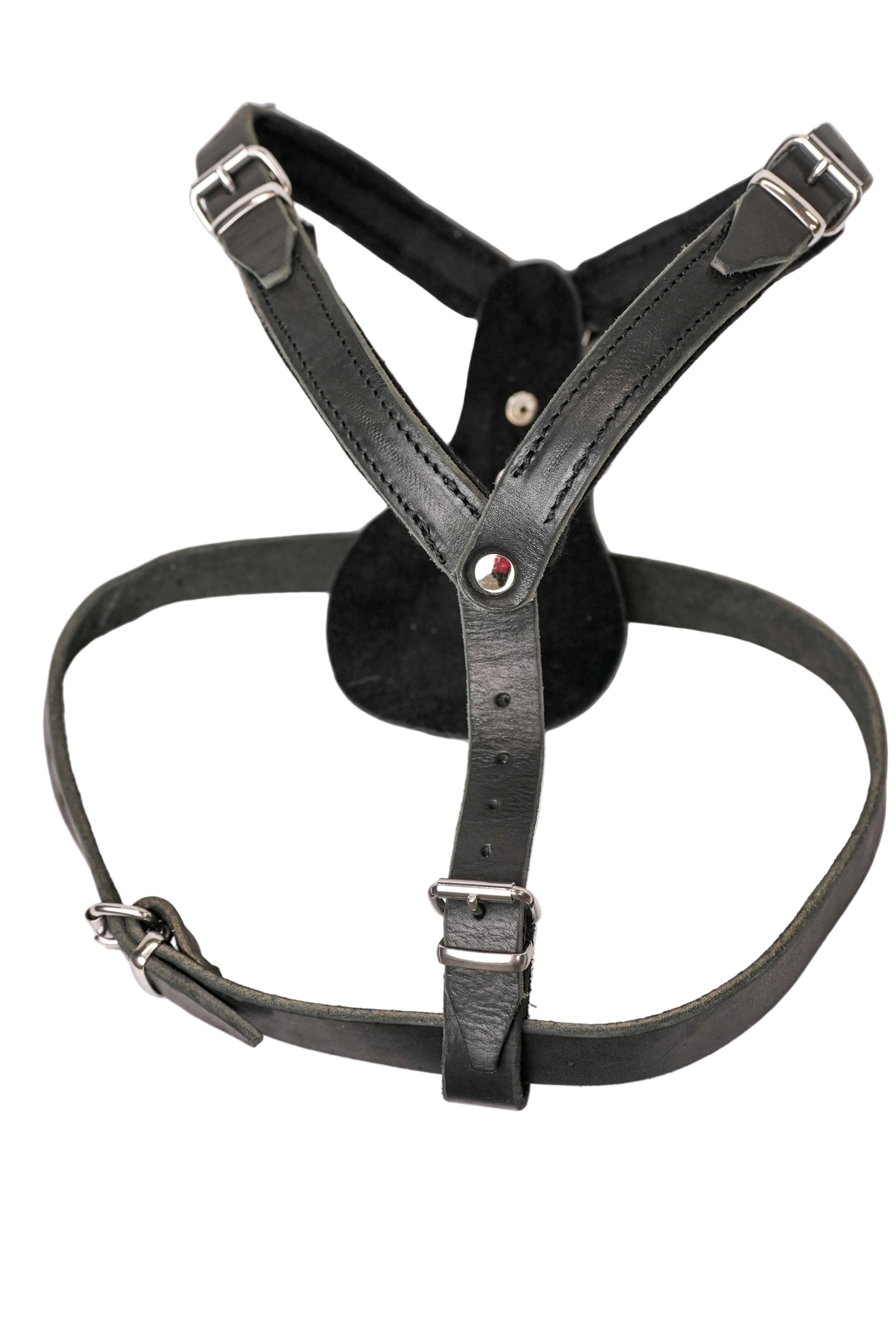 Schweikert Working Dog Leather Harness side view