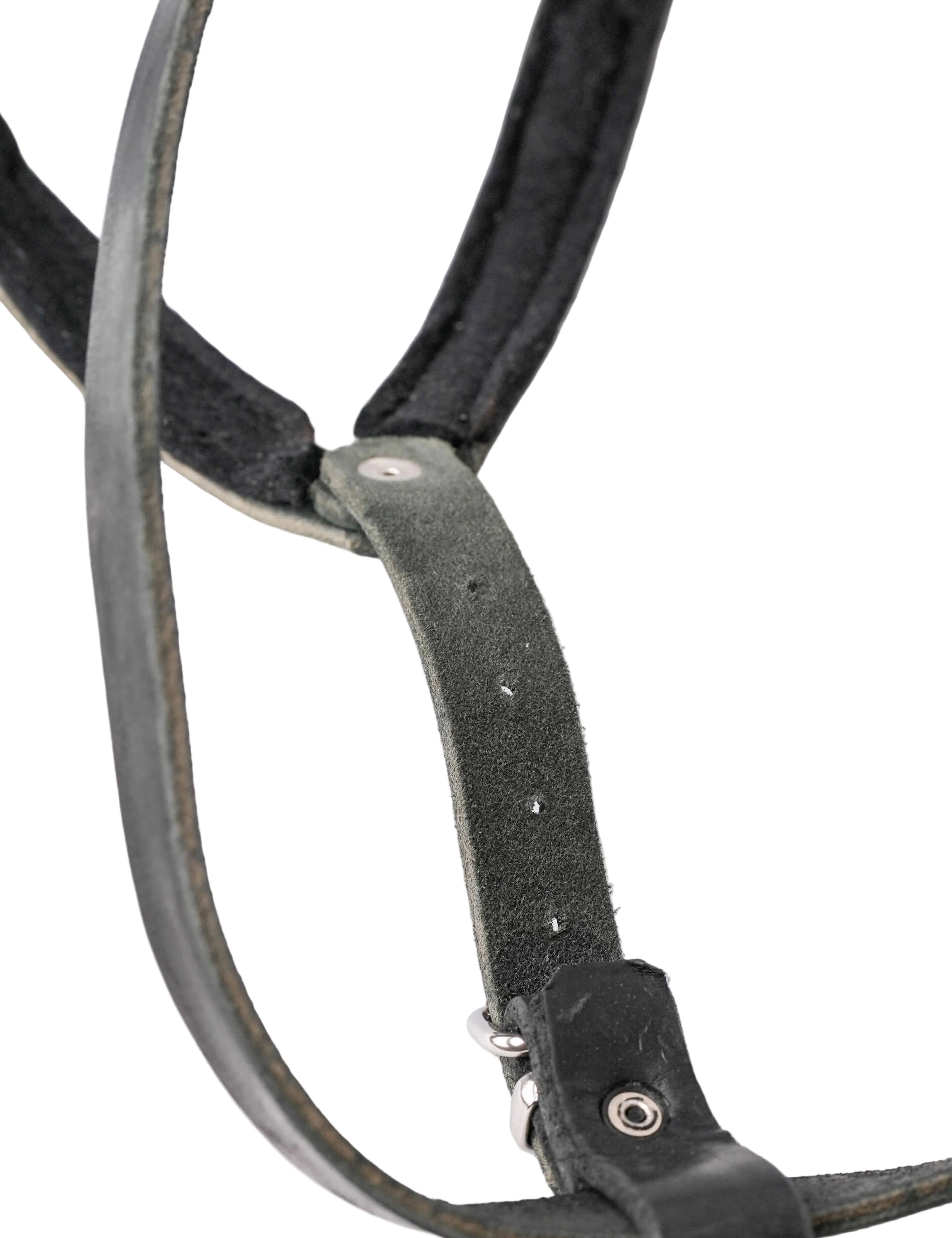 Schweikert Working Dog Leather Harness strap