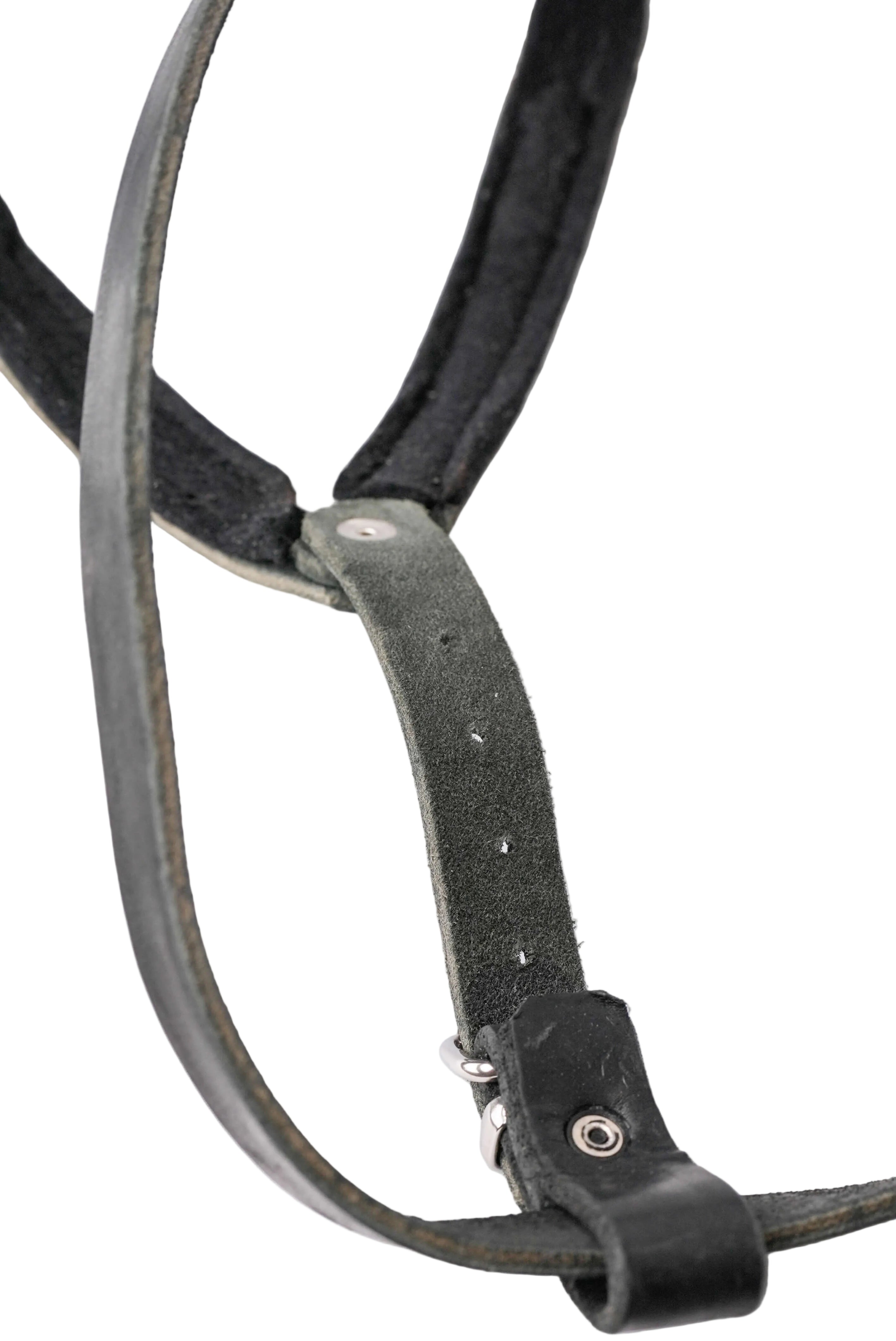 Schweikert Working Dog Leather Harness strap