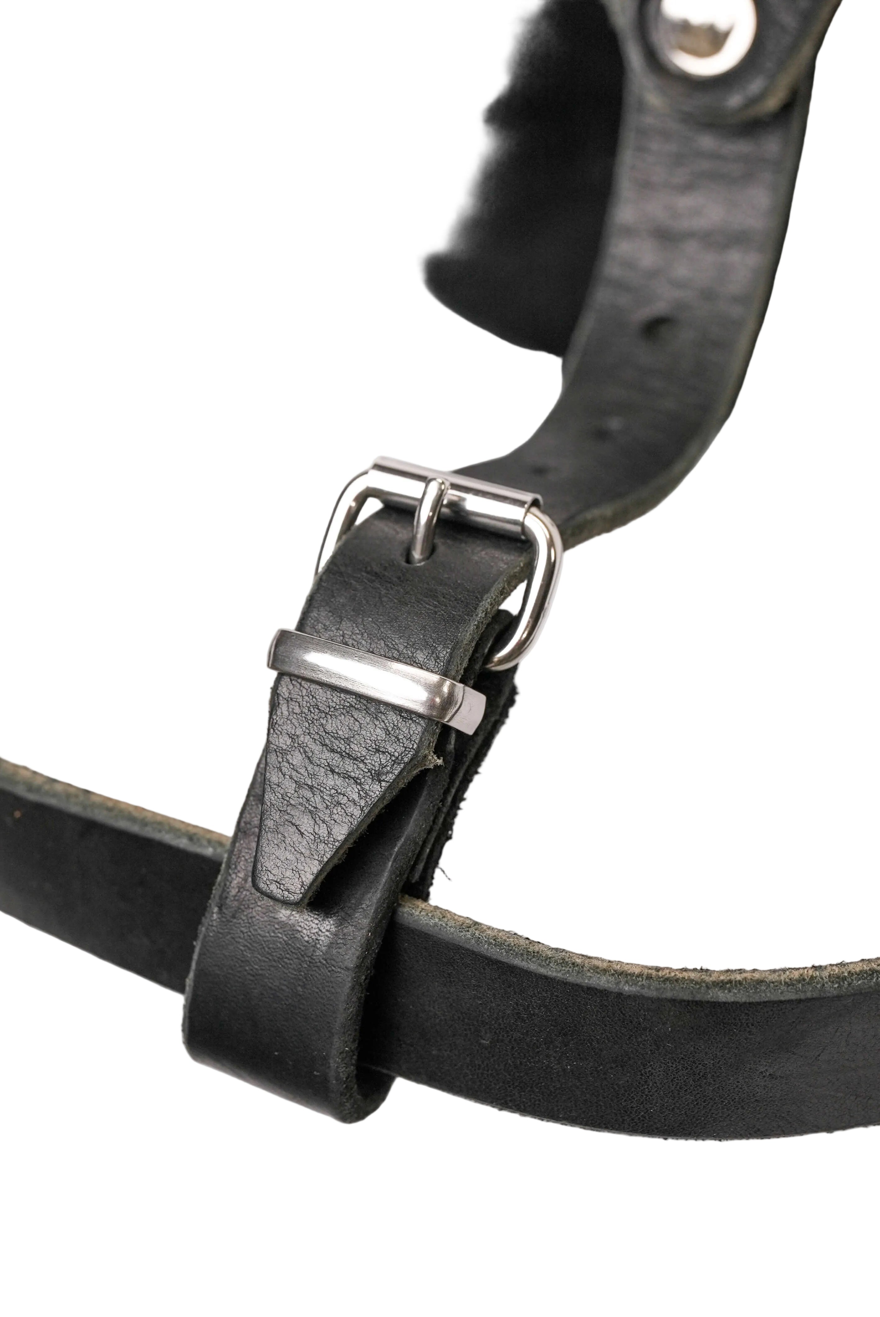 Schweikert Working Dog Leather Harness strong clasp