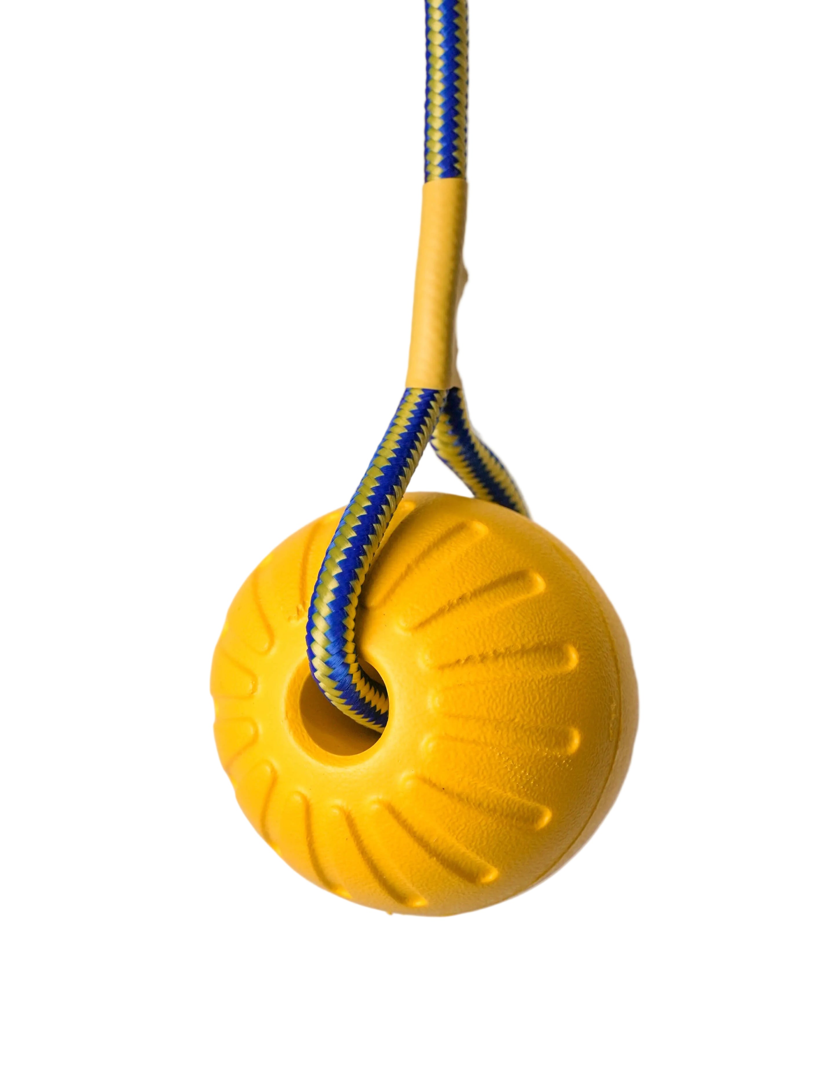 Schweikert Yellow Foam Ball on a Rope angle