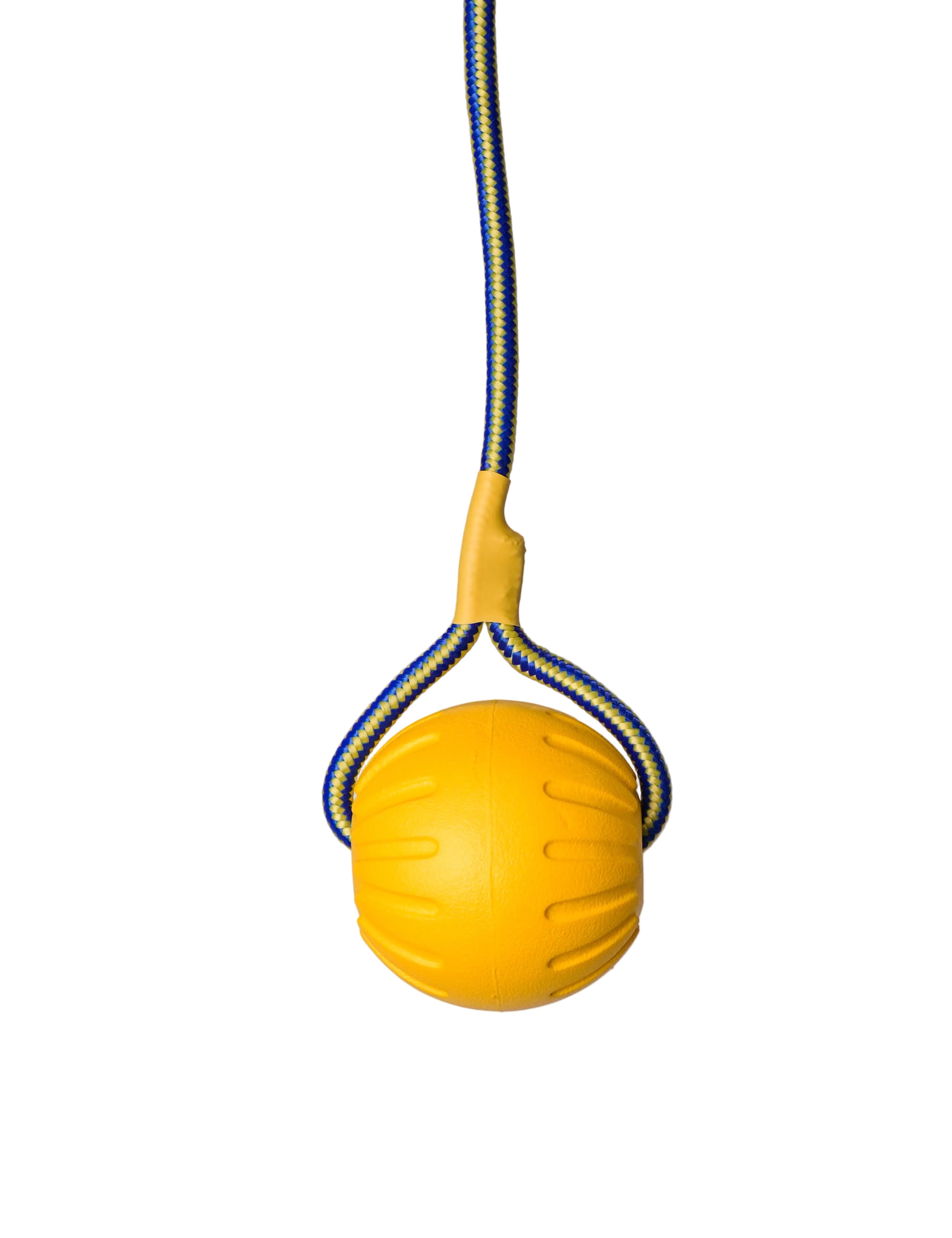 Schweikert Yellow Foam Ball on a Rope main