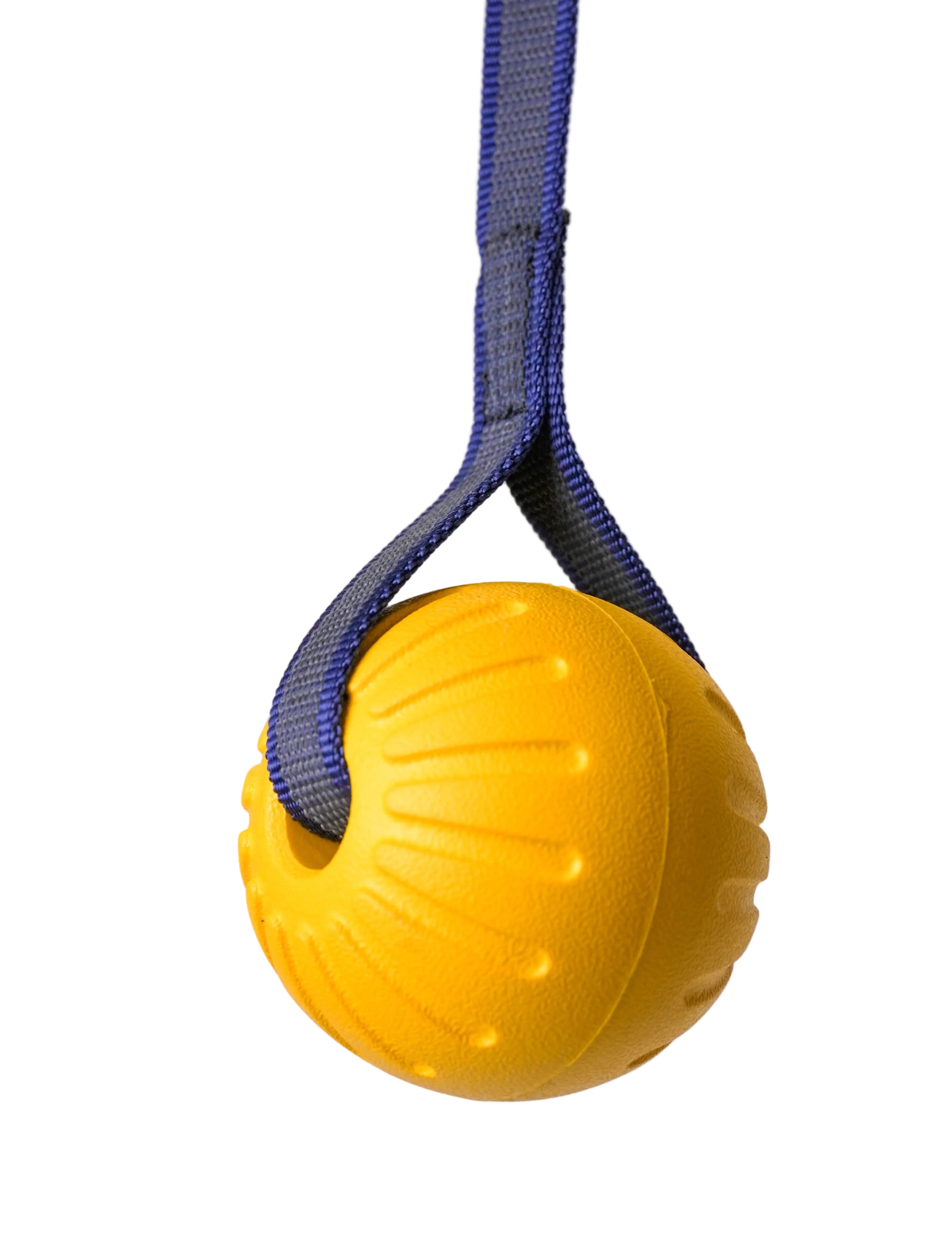 Schweikert Yellow Foam Ball on a String main