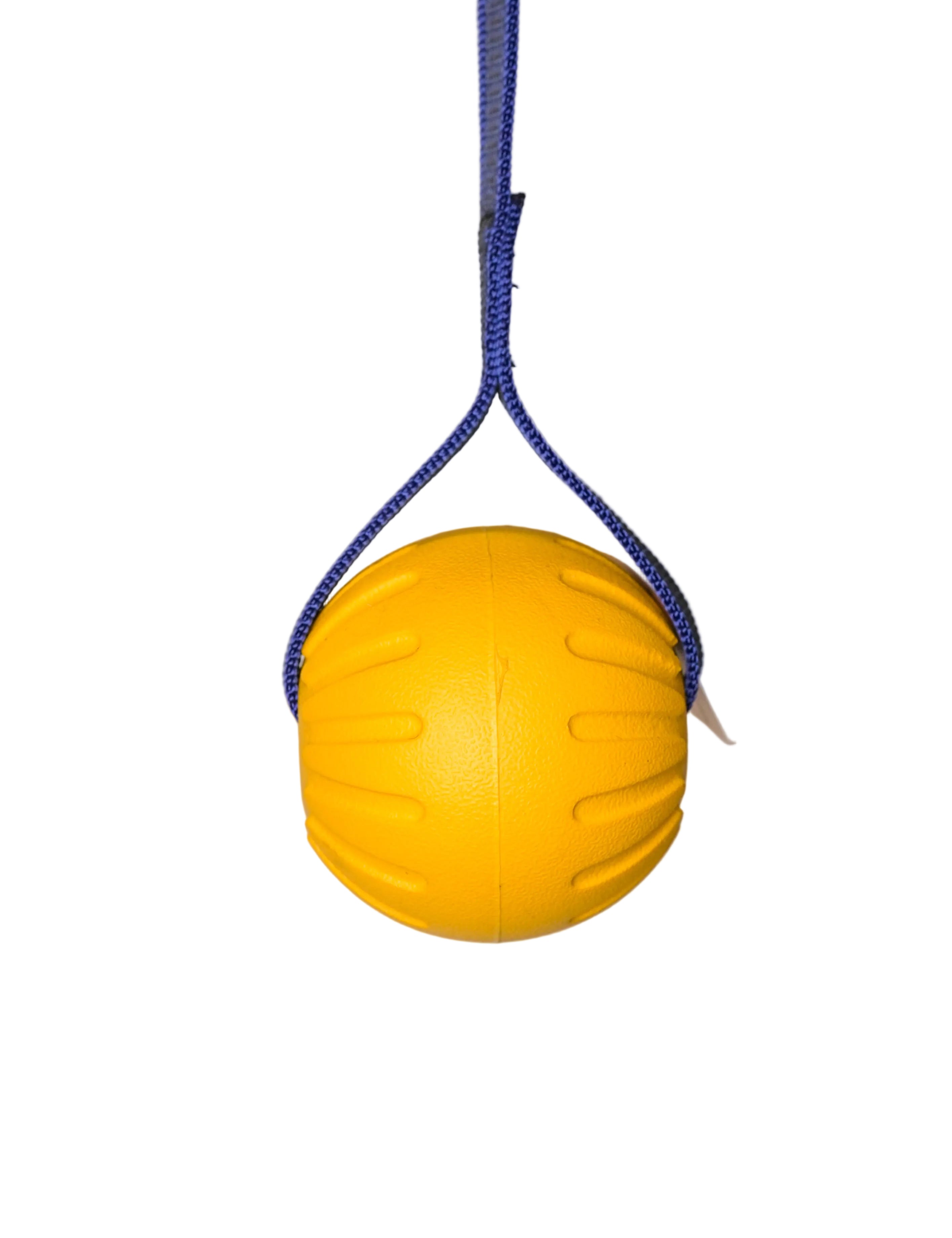 Schweikert Yellow Foam Ball on a String side