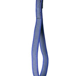 Schweikert grippy lead with handle 20mm blue handle back