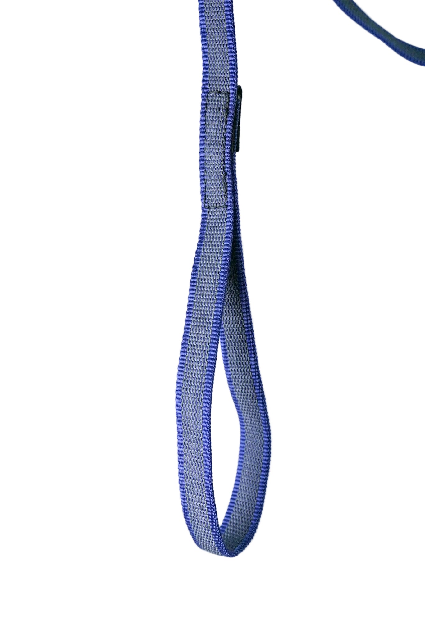 Schweikert grippy lead with handle 20mm blue handle back