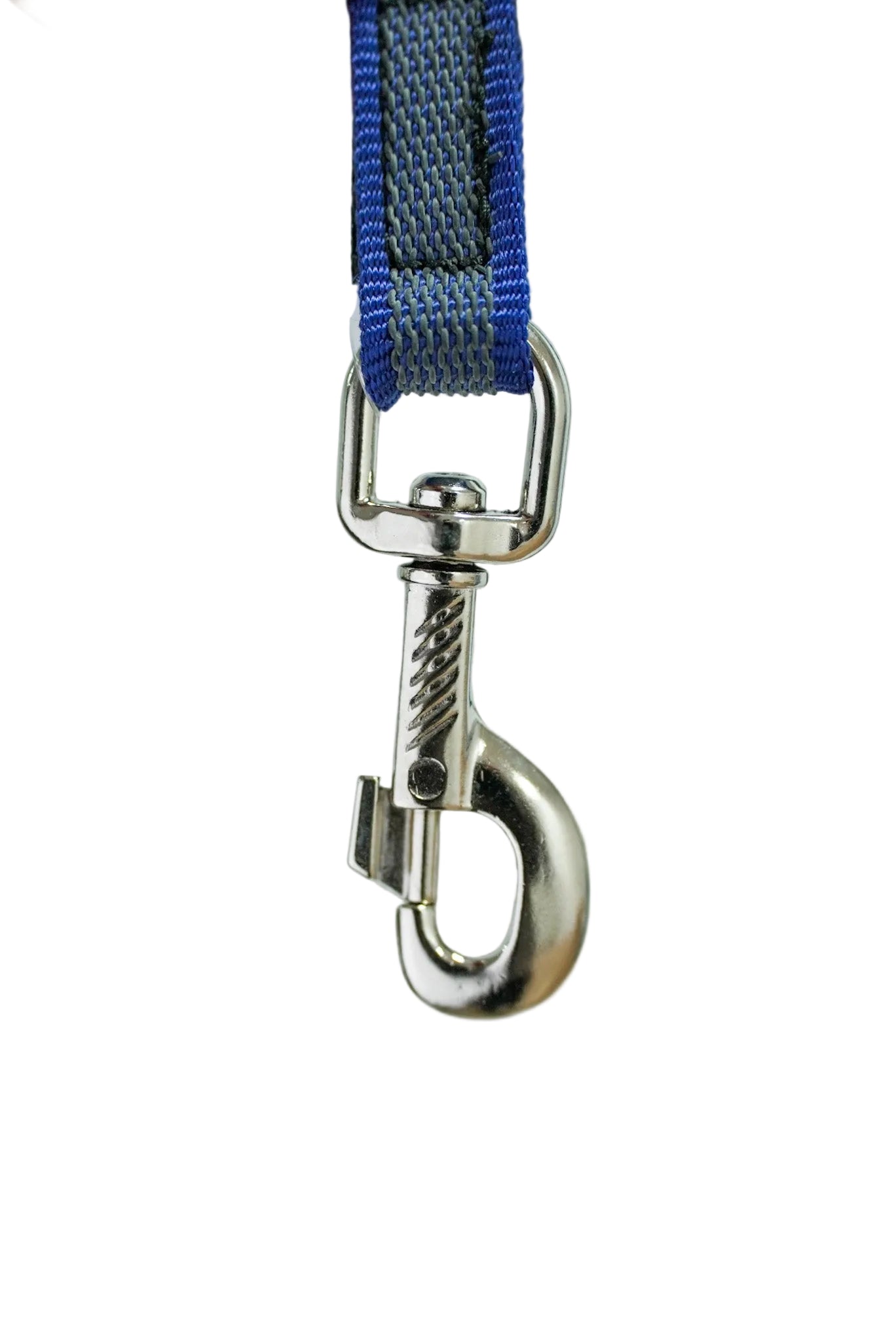 Schweikert grippy lead with handle 20mm blue hook clip