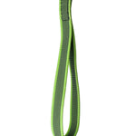 Schweikert grippy lead with handle 20mm green handle