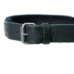 Schweikert Leather dog collar with felt padding and handle - buckle