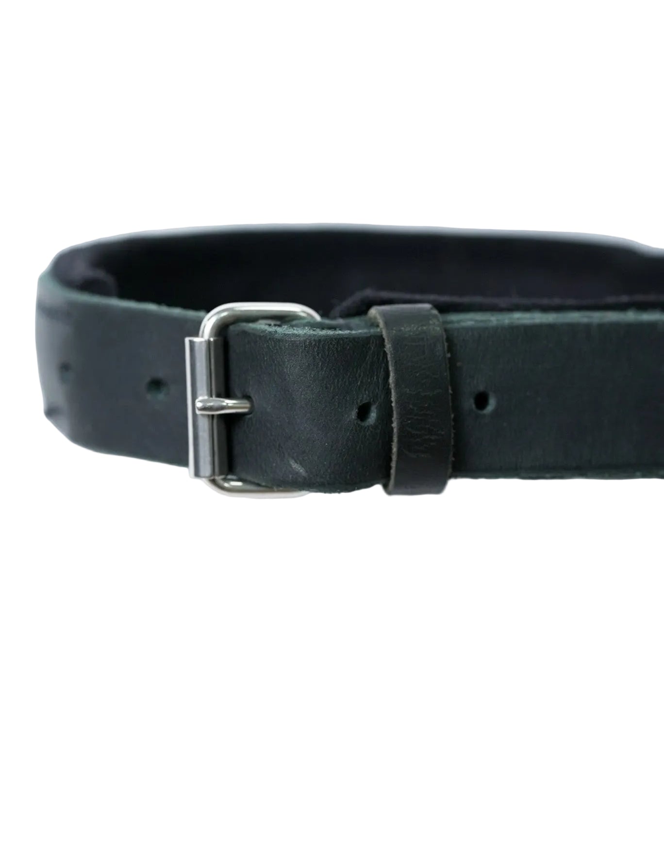 Schweikert Leather dog collar with felt padding and handle - buckle
