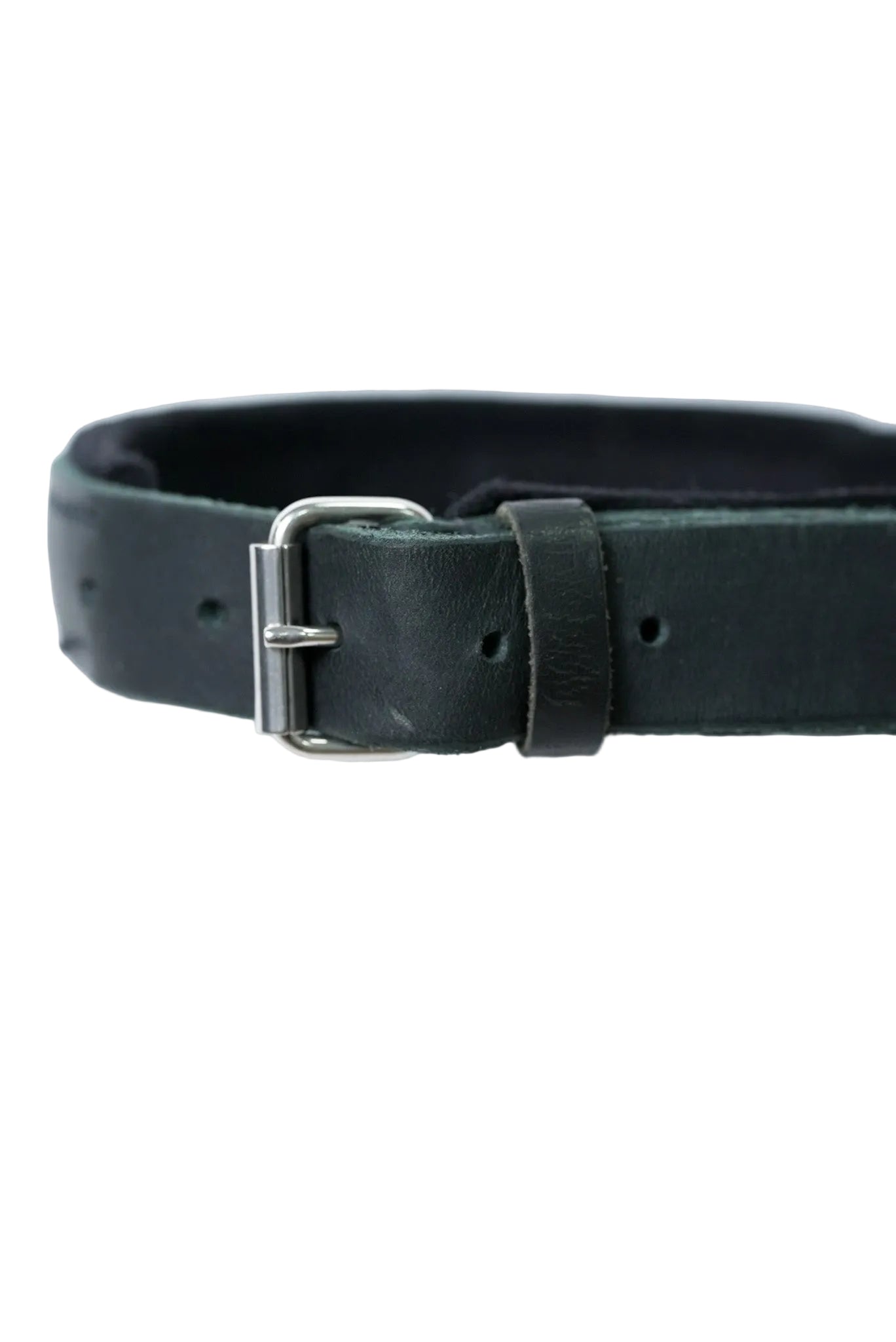 Schweikert Leather dog collar with felt padding and handle - buckle