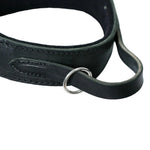 Schweikert leather dog collar with felt padding handle loop