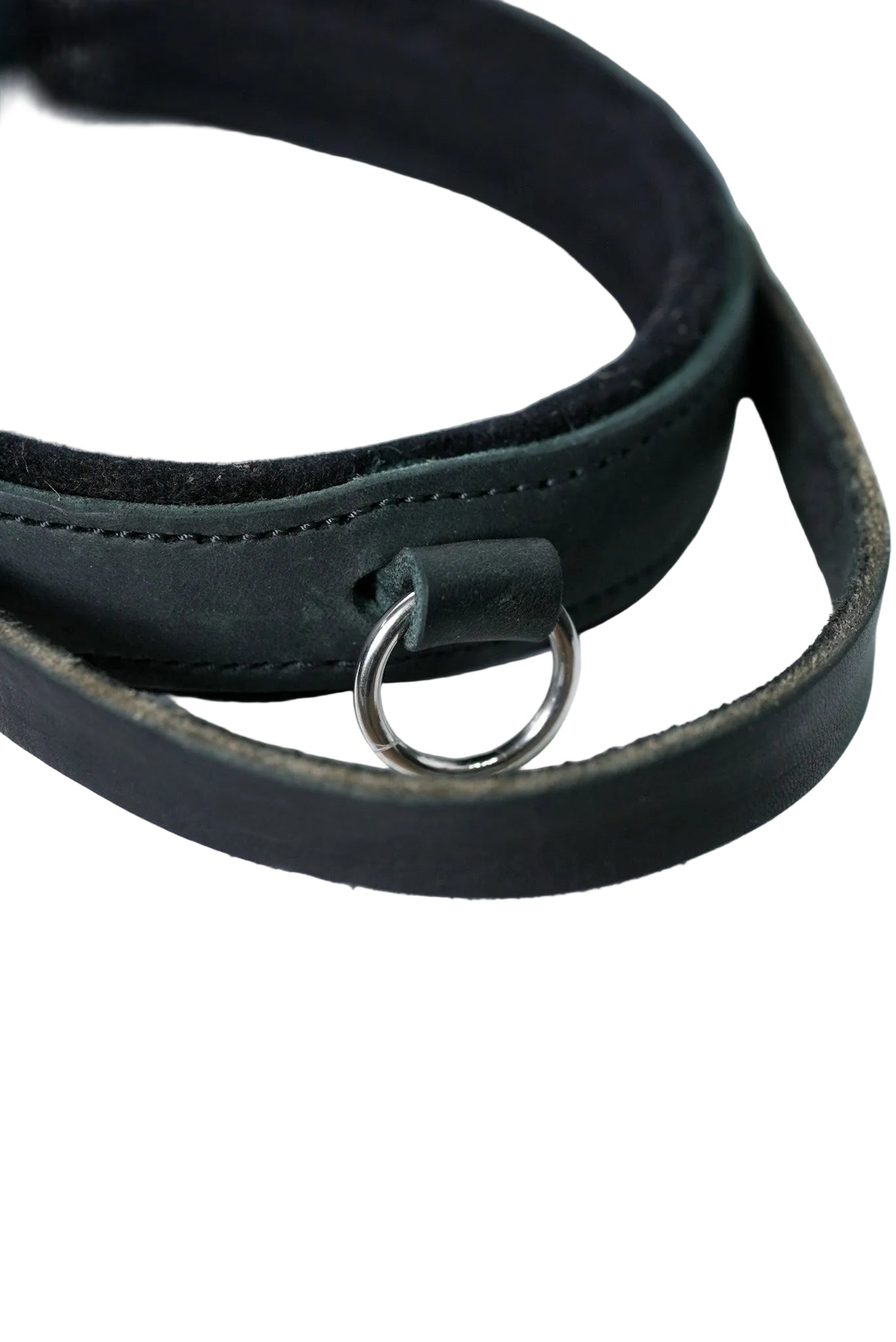 Schweikert leather dog collar with felt padding handle ring close-up
