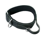 Schweikert Leather dog collar with felt padding handle - top angle