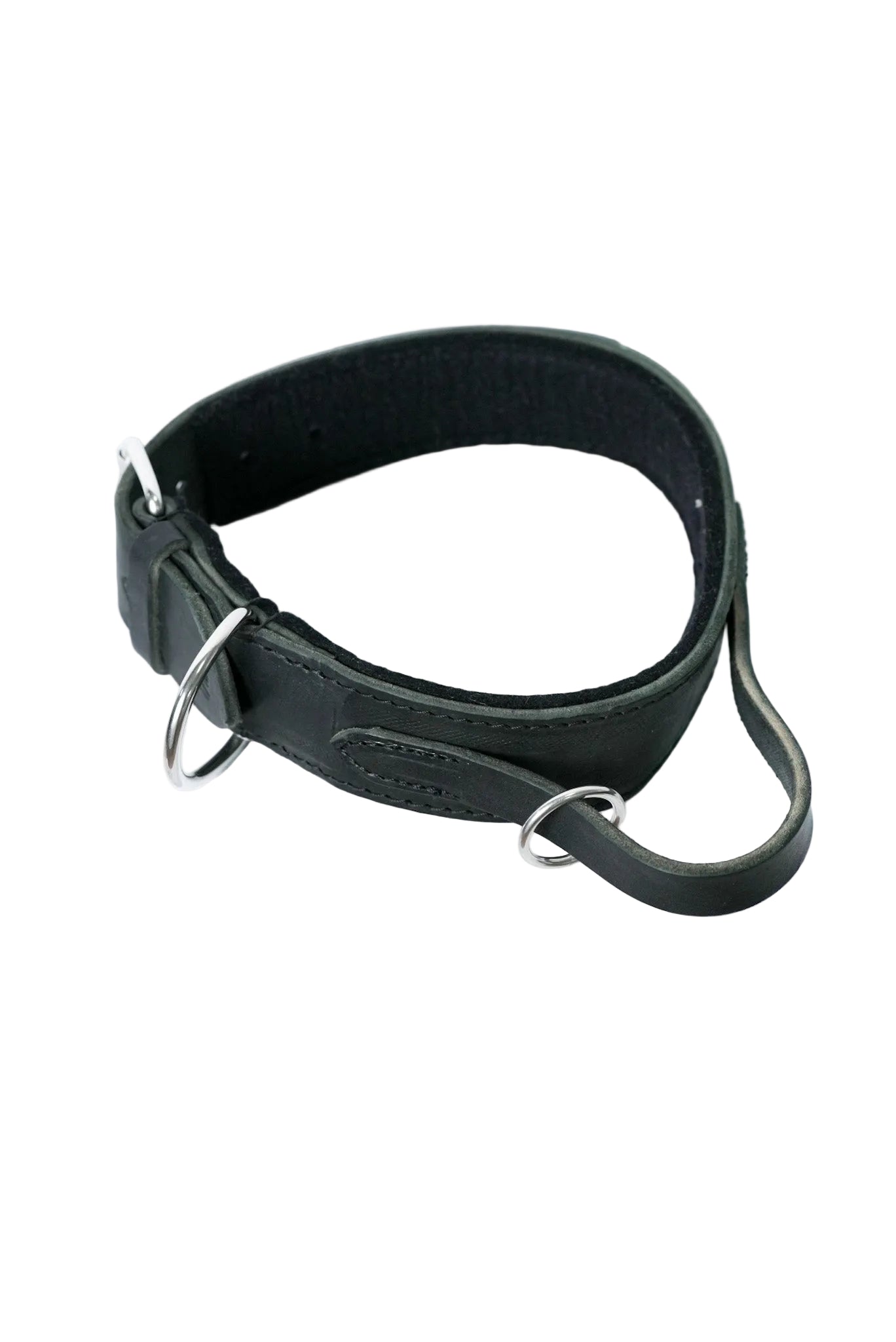 Schweikert Leather dog collar with felt padding handle - top angle